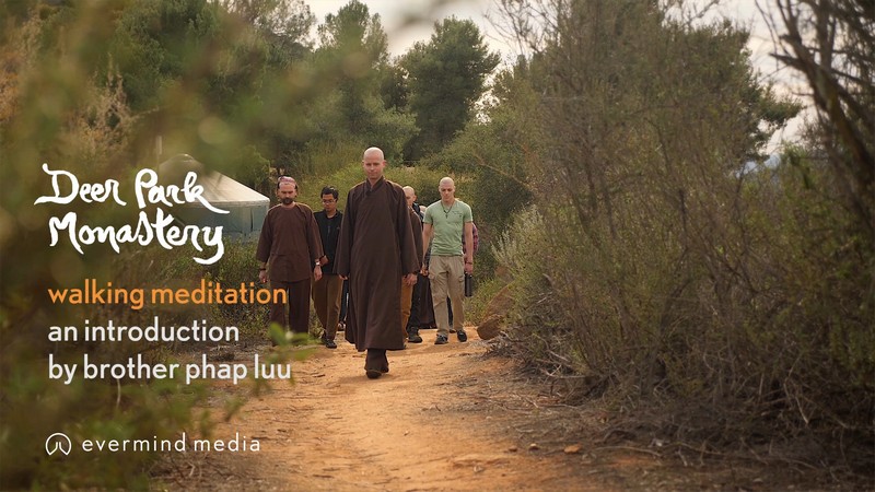 Walking Meditation: an introduction by Brother Phap Luu