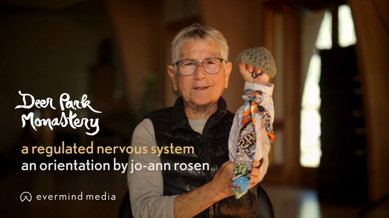 A Regulated Nervous System: an orientation by Jo-ann Rosen